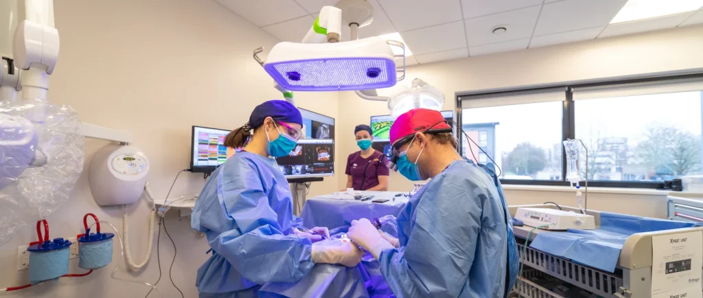 Chirurgie implantaire avec pose de dents provisoires